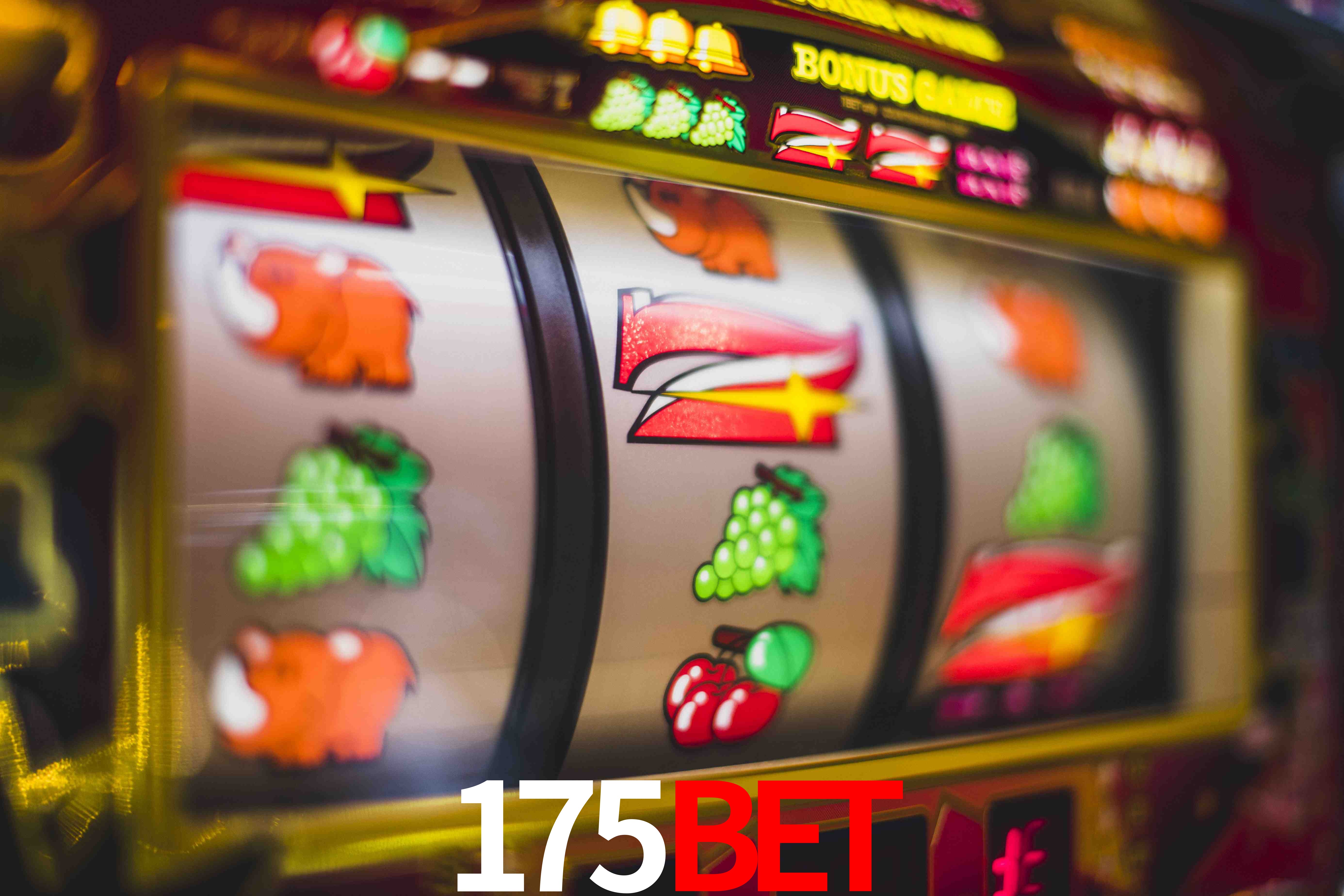 Account Benefits 175bet